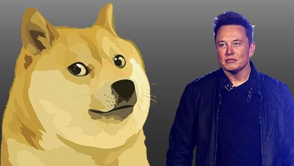 son dakika elon musk tweet atti dogecoin sert dususe gecti bitcoin yuzde 4 8 ethereum yuzde 11 dogecoin yuzde 24 dusus yasadi