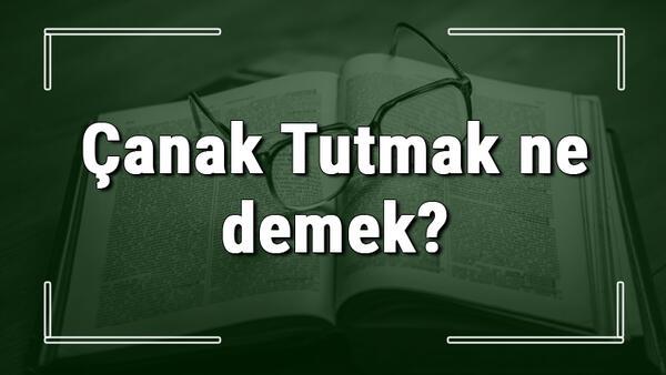 Canak Tutmak Ne Demek Canak Tutmak Deyiminin Anlami Ve Ornek Cumle Icinde Kullanimi Tdk