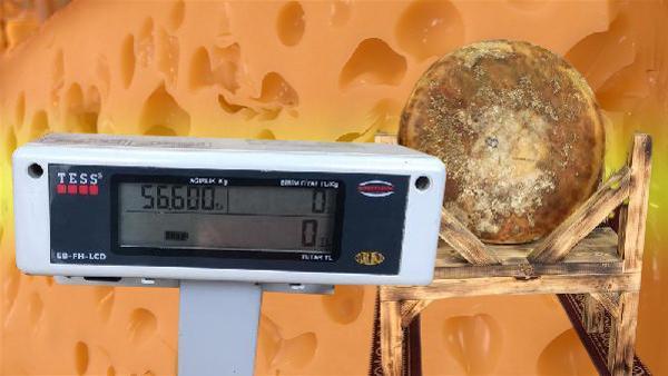 1400 litre sütten üretildi! Kilosu 120 TL 1400 litre sütten üretildi! Kilosu 120 TL