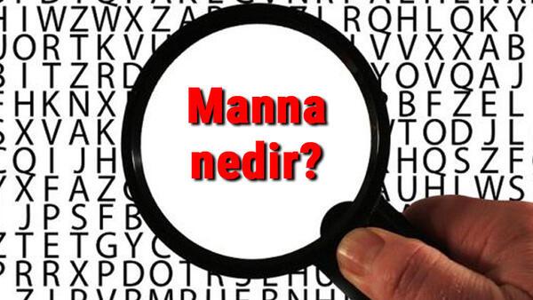 Manna Nedir Ve Ne Ise Yarar Manna Nasil Yapilir