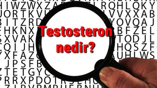 testosteron nedir ve ne ise yarar testosteron hormonu nasil arttirilir