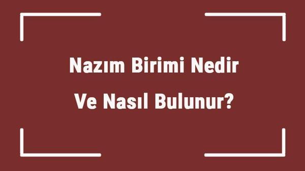 nazim birimi nedir ve nasil bulunur nazim birimi ornekleri ve ozellikleri