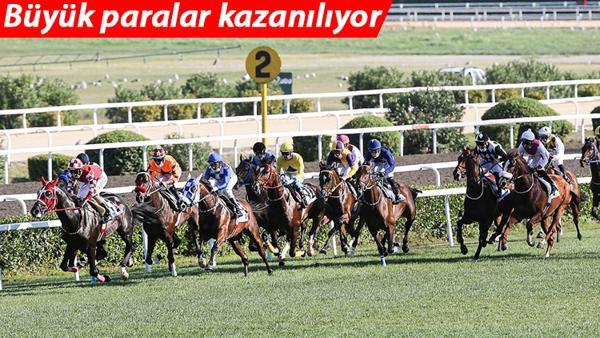 Son dakika... At koştu, sahibi kazandı! Tek yarışta 2.1 milyon lira... Son dakika... At koştu, sahibi kazandı! Tek yarışta 2.1 milyon lira...
