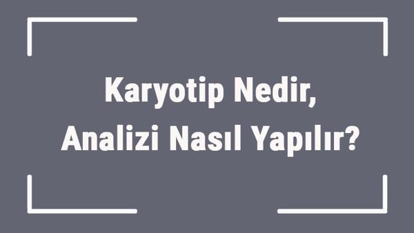 karyotip nedir analizi nasil yapilir karyotip analizi hangi evrede yapilir