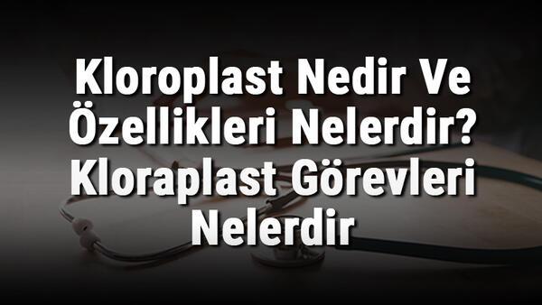 kloroplast nedir ve ozellikleri nelerdir kloraplast gorevleri nelerdir ve hayvan hucresinde bulunur mu saglik haberleri