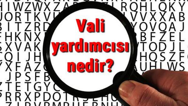 vali yardimcisi nedir ne is yapar ve nasil olunur vali yardimcisi olma sartlari ve maaslari