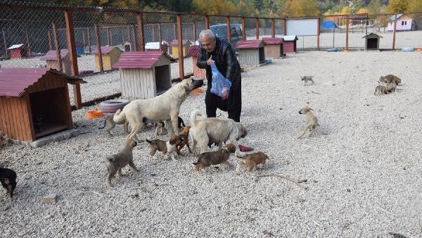 Feke Haberleri Feke De Hayvan Barinagi Yapimi Tamamlandi Adana Haberleri Feke Haberleri Feke De Hayvan Barinagi Yapimi Tamamlandi Adana Haberleri