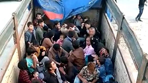 Çanakkale'de 77 kaçak göçmen yakalandı