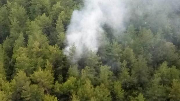 Manavgat'ta yıldırım düşen ormanda yangın