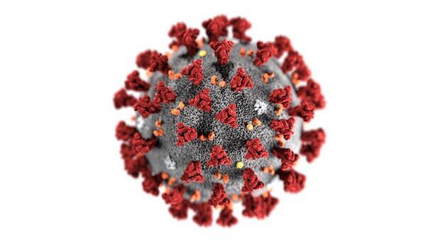 Koronavirüs efsaneleri ve gerçekler