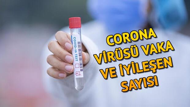 CORONA VİRÜSÜ SON DURUM: 1 Mayıs Dünyada ve Türkiye'de koronavirüs (korona virüs) vaka ve ölüm sayısı tablosu