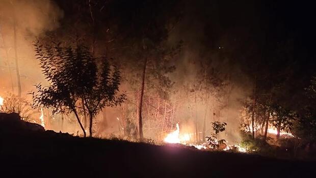 Adana'da orman yangını büyük hasara yol açtı