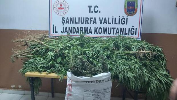 Şanlıurfa’da uyuşturucu operasyonuna 7 tutuklama