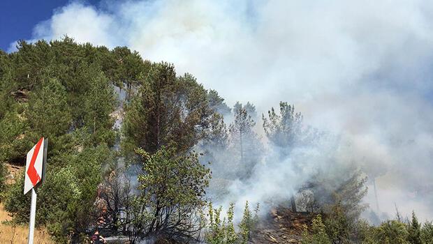 3 ayrı noktada yangın çıktı! 7 hektarlık alan zarar gördü