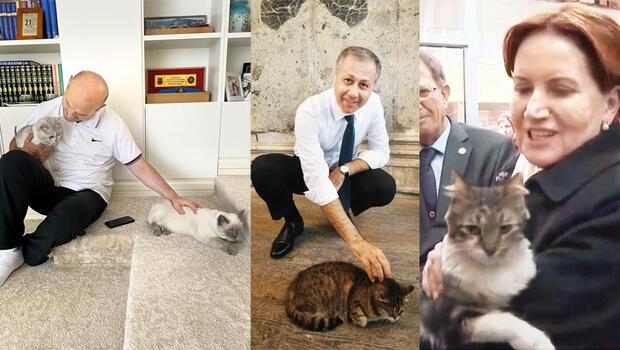 Dünya Kediler Günü'nde siyasiler de can dostlarını kutladı