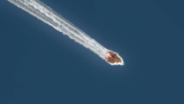 Dünya'ya doğru seyreden asteroid gezegenimize çarpabilir mi?