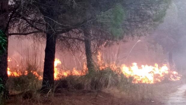 Tarsus'ta 2 hektar ormanlık alan yandı