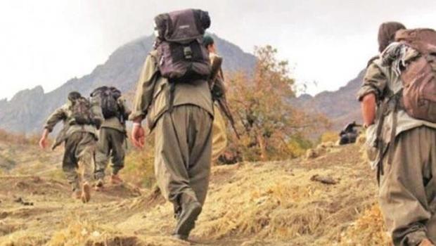 Son dakika haberleri: Bakanlık duyurdu: Etkisiz hale getirildiler