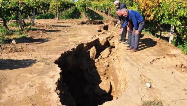 Son dakika haberler: Manisa'da tedirgin eden görüntü! İnceleme başlatıldı