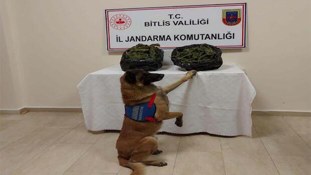Bitlis’te uyuşturucu operasyonu: 4 gözaltı