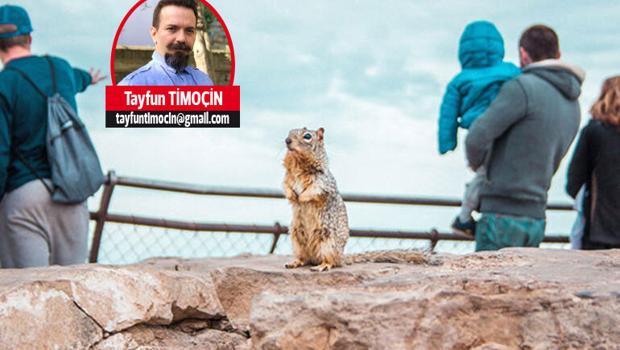 Dikkat mutasyon geçebilir