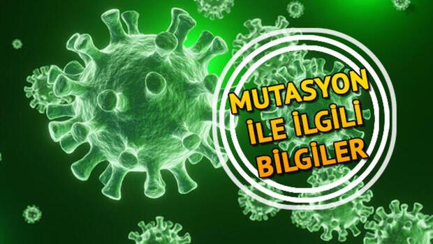 Türkiye'de mutasyonlu virüs sayısı belli oldu - Mutasyon nedir, mutasyon virüs kaç ilde görüldü? 