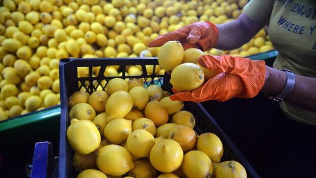 Türkiye'den ocak ayında 31,4 milyon dolarlık limon ihraç edildi