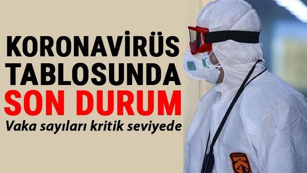 24 Şubat Koronavirüs Türkiye tablosu son durum: Sağlık Bakanlığı günlük corona virüs vaka, iyileşen sayısı ve ölüm sayılarında dikkat çeken gelişme