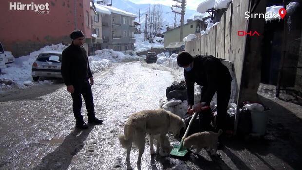 Polis ve bekçiler sokak hayvanlarıyla yemeklerini paylaşıyor