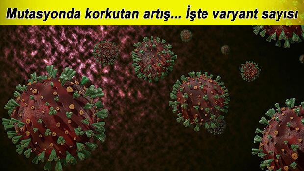 Varyant nedir, mutasyon virüs hangi illerde görüldü? Sağlık Bakanı Fahrettin Koca'dan mutasyon açıklaması