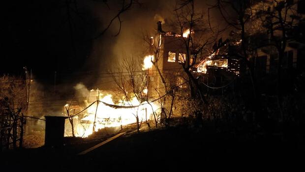 Artvin'de korkutan yangın: 4 ev kül oldu