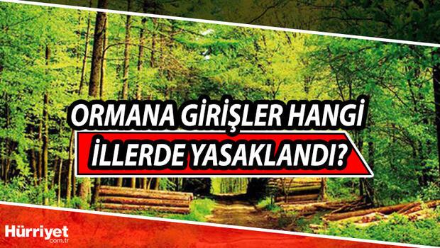 Ormana girmek yasaklandı mı? Hangi illerde ormana giriş yasak ve kaç gün? İstanbul, Bursa, Çanakkale... 