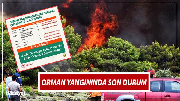 Orman yangınlarında son durum! Bakan Pakdemirli 2 Ağustos kontrol altına alınan ve devam eden yangınların listesini açıkladı 