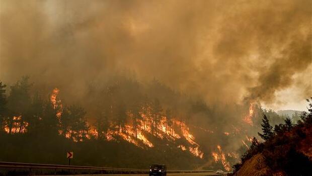 Orman yangınlarıyla mücadele bitmeden... Antalya için flaş uyarı geldi! 