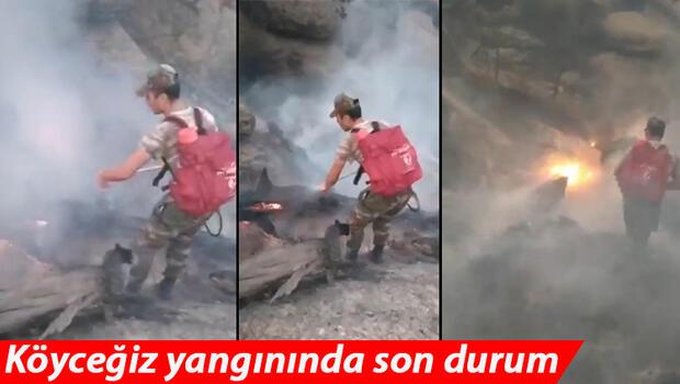 Son dakika... Muğla'nın Köyceğiz ilçesindeki yangında son durum! Alevler Denizli sınırına yaklaştı