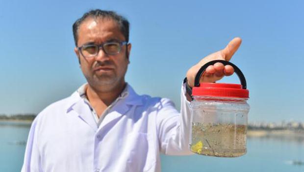 Karadeniz'de 'mikroplastik' tehlikesi! 14 kat arttı