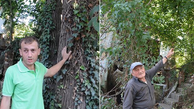 Kastamonu'daki selde ağaca çıkan kişi, babasını da kemeriyle çekip kurtardı