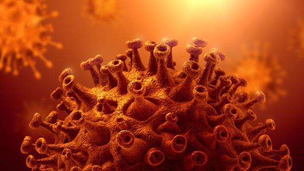 ABD’den korkutan koronavirüs araştırması... Orman yangınları vakaları nasıl etkiler?