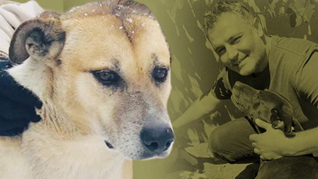 'Daire 16' onu kurtardı... Köpük rahat nefes aldı