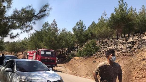 Kilis'te çıkan orman yangını büyümeden söndürüldü