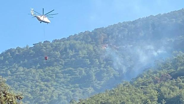 Muğla'nın Milas ilçesinde orman yangını! Çok sayıda ekip sevk edildi