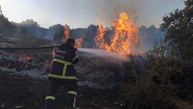 Mazıdağı'nda orman yangını paniği