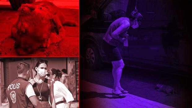 Yavru köpekler ölü bulundu... Korkunç iddia! 'Siz nasıl bir canisiniz?'