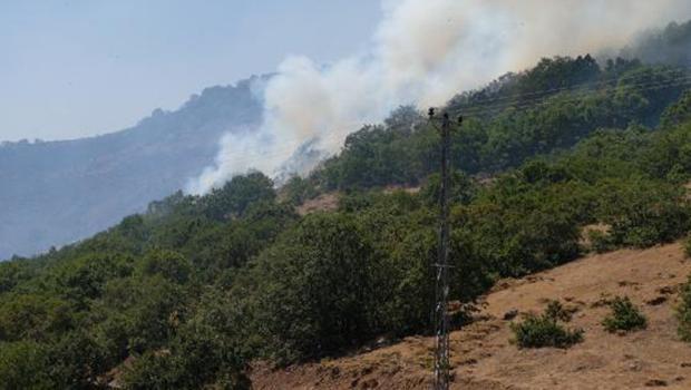 Son dakika! Bingöl'de orman yangını