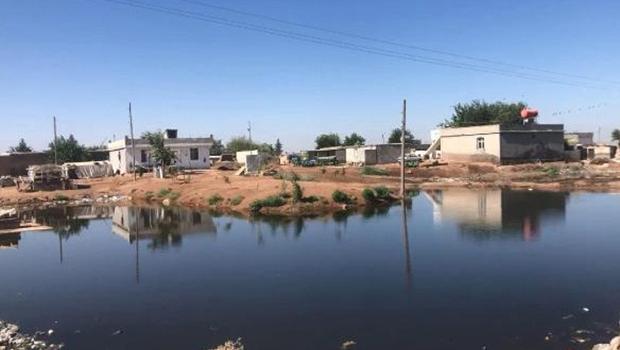 Şanlıurfa'nın Suruç ilçesinde tarla ve evler su altında kaldı
