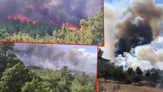 Son dakika... Çanakkale'de çıkan orman yangını kontrol altında