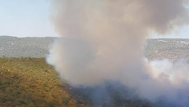 Son dakika! Milas'ta orman yangını! Çok sayıda ekip sevk edildi