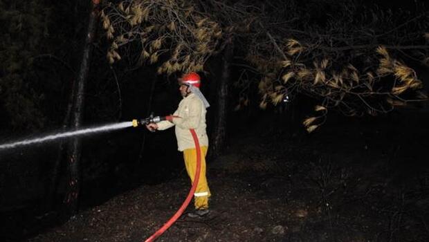 Datça’da orman yangınına nöbetçi ekipten hızlı müdahale 