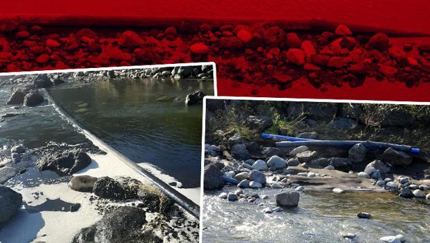 Son dakika... Giresun'da çöp tesisinde skandal! Denizde kirlilik oluştu, soruşturma başlatıldı