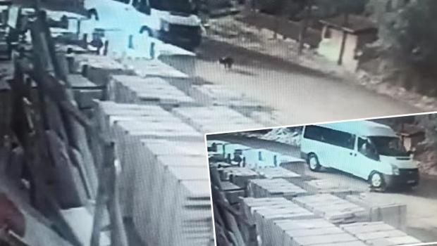 Köpeğe çarpıp ölümüne neden oldu, arkasına bakmadan kaçtı